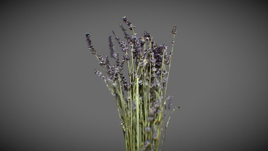 Lavendel Strauß Kaufen Lizenzgebühren frei 3d Modell sdrn e000a4a 3d print model - Mito3D