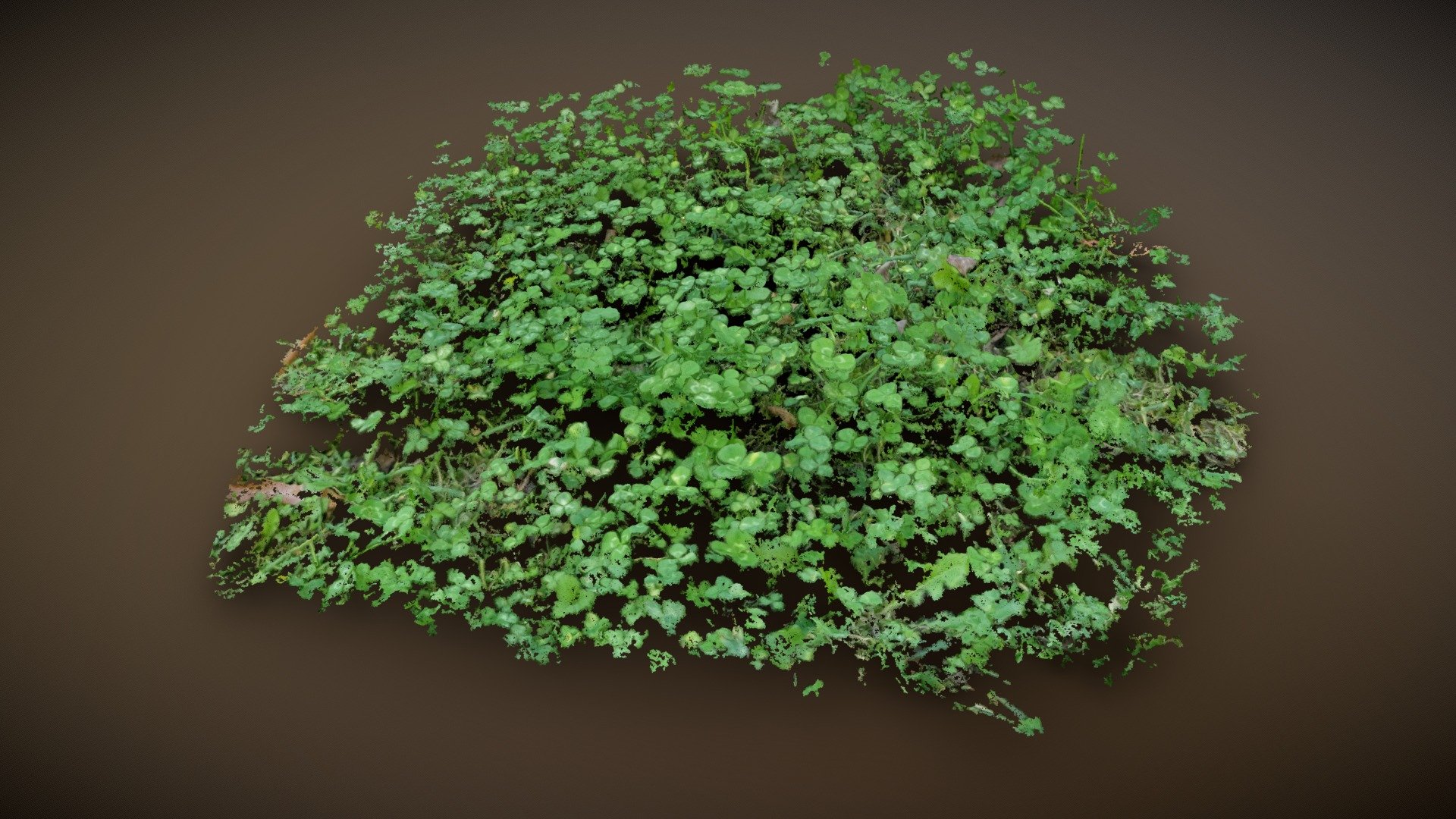 leaf clover - download free 3d model everypoint a61d919 3D print model - Mito3D