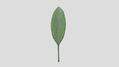 leaf pick up - download free 3d model vildurr 8744daa 3d print model - Mito3D