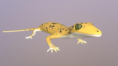 leopard gecko - 3d-Modell kevin s rensen kicksoren fab51fe 3d print model - Mito3D