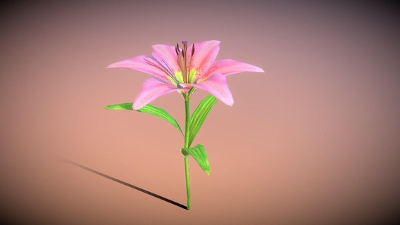 giglio fiore acquistare royalty gratuito 3d modello pinotoon foglia colore ceppo lily flower 3d print model - Mito3D