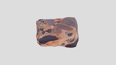 calcário conglomerado 1 - modelo 3d rockdoc 443ed18 tamanho da amostra 2 polegadas rochas ígneas exemplo de estudo identificação anotada link close-up imagem ampliada detalhe 3d print model - Mito3D