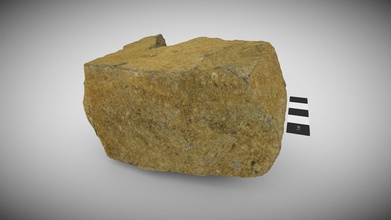 limestone crinoids devonian - 3d model uq school earth environmental sciences sees bb23eae 3d print model - Mito3D