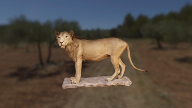 leone - modello 3d youbie collezione dhutchinson22 839becf maschio università di iowa lion imbalsamati primi anni del 1900 s display museo storia naturale mammiferi hall ulteriori informazioni https mnhuiowaedu lions 3d print model - Mito3D
