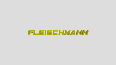 logo flesa - download free 3d model lowpoly cl 3b557b2 fleischmann 3d print model - Mito3D