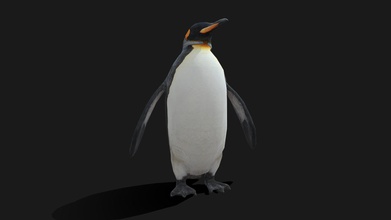 low poly king penguin - buy royalty free 3d model 3d-idi paduladi 06e7ace used game such desktop vr mobile games object made blender available maya if you ask completely uvunwrapped texture created substance painter all res 2k only have simple rig me want know see idle animation export obj fbx blend ma stl ztl ps send message request other animal custom can do 3d print model - Mito3D
