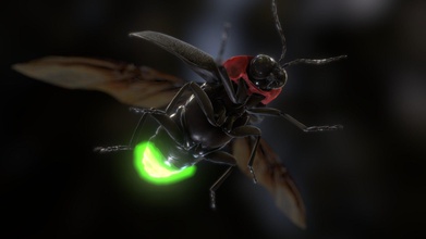 luciola lateralis japanese fire fly - 3d model boycraft 5441dd0 includes pbr textuer maps ready use game props unity unreal engine just don t pretend they re yours try resell them if you need higher lower polys please contact us y yasuda boycraftjp we sell custom modelsany feedback welcome thank 3d print model - Mito3D