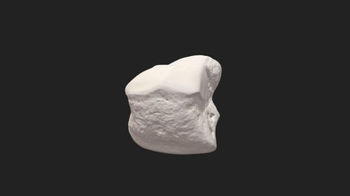 lunar osso carpi intermedio pónei baixar livre 3d modelo vetanatmunich 71b21a8 3d print model - Mito3D