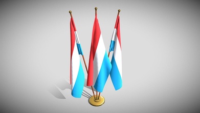 Luxemburgo bandera paquete comprar realeza gratis 3d modelo dragosburian 40d7b62 3d print model - Mito3D