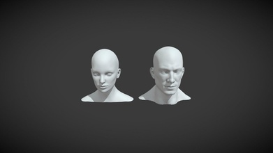 Masculin femelle tête réaliste base engrener 3d modèle acheter royalties libre 3ddisco 0af5922 corps visage œil sculpter anatomie garçon 3d print model - Mito3D