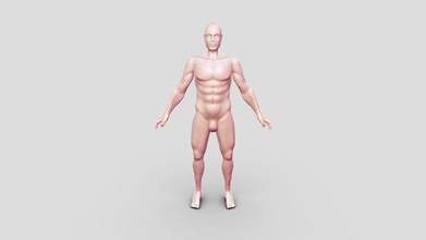 male anatomy base mesh poly - buy royalty free 3d model kyle degroot art kyledegrootart be56974 3d print model - Mito3D