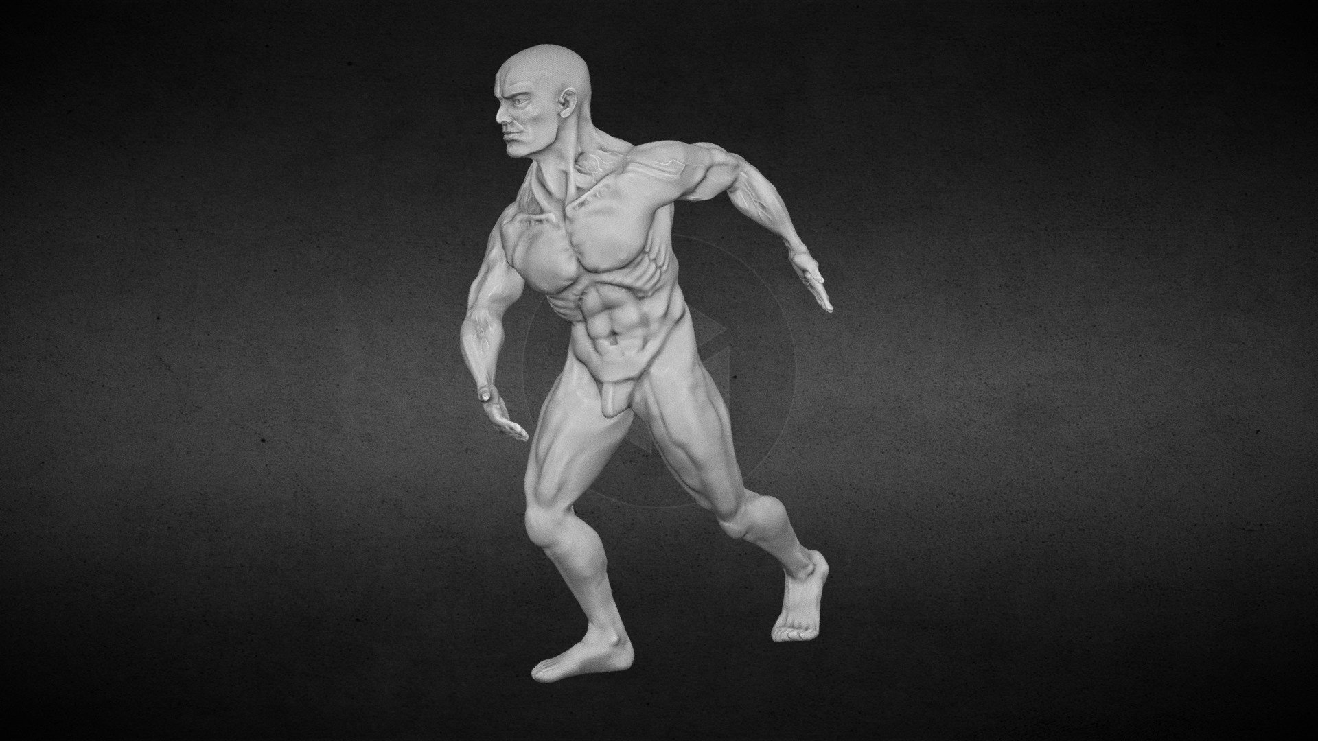 male body study - download free 3d model netrunner pl 4d96814 3D print model - Mito3D