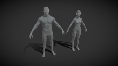 Masculin femelle corps base engrener 3d modèle 10k polygones acheter royalties libre 3ddisco 31ac192 3d print model - Mito3D