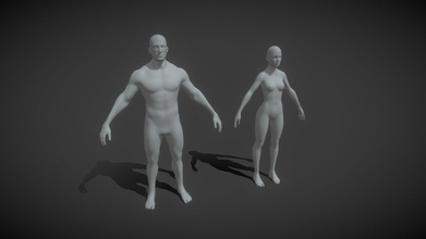 masculino fêmea corpo base malha 3d modelo 20k poli Comprar realeza livre 3ddisco cara anatomia biologia Garoto braço padrão perna 3d print model - Mito3D