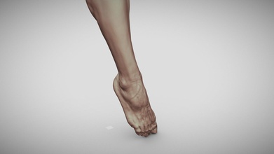 maschio piede 10 acquistare royalty gratuito 3d modello Tremotino corpo scolpire base anatomia umanoide stampa figura basemesh azione gamba piedi Stampa realistico 3d print model - Mito3D