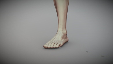 masculino pé 1 Comprar realeza livre 3d modelo rumpelstiltskin corpo stl esculpir base anatomia humanóide impressão basemesh açao perna pés realista 3d print model - Mito3D