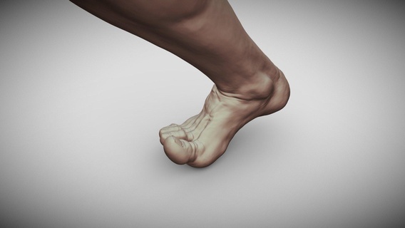 erkek ayak 4 satın almak telif Bedava 3d model rumpelstiltskin vücut stl şekil vermek temel anatomi insansı baskı insanlar ağ aksiyon bacak Yazdır gerçekçi hareket yazdırılabilir yazdırmaya hazır karakter adam yaratık zbrush insan heykel 3d print model - Mito3D