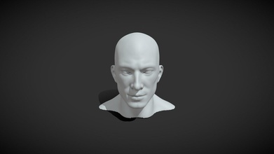 erkek baş gerçekçi temel örgü 3d model satın almak telif Bedava 3ddisco vücut göz şekil vermek anatomi oğlan Vesika kulak burun 3d print model - Mito3D
