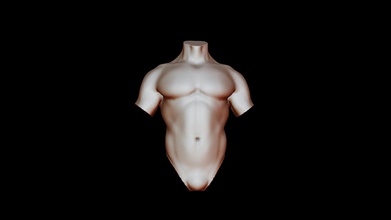 male torso - download free 3d model rushivamshi rushivamshi 8ca9e6c male torso speed sculpt zbrush - male torso - download free 3d model rushivamshi rushivamshi 8ca9e6c