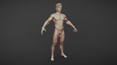 hombre realista esculpir comprar realeza gratis 3d modelo zstuff rumpelstiltskin d066f5d cuerpo stl base anatomía humanoide impresión personas figura malla músculo atleta 3d print model - Mito3D