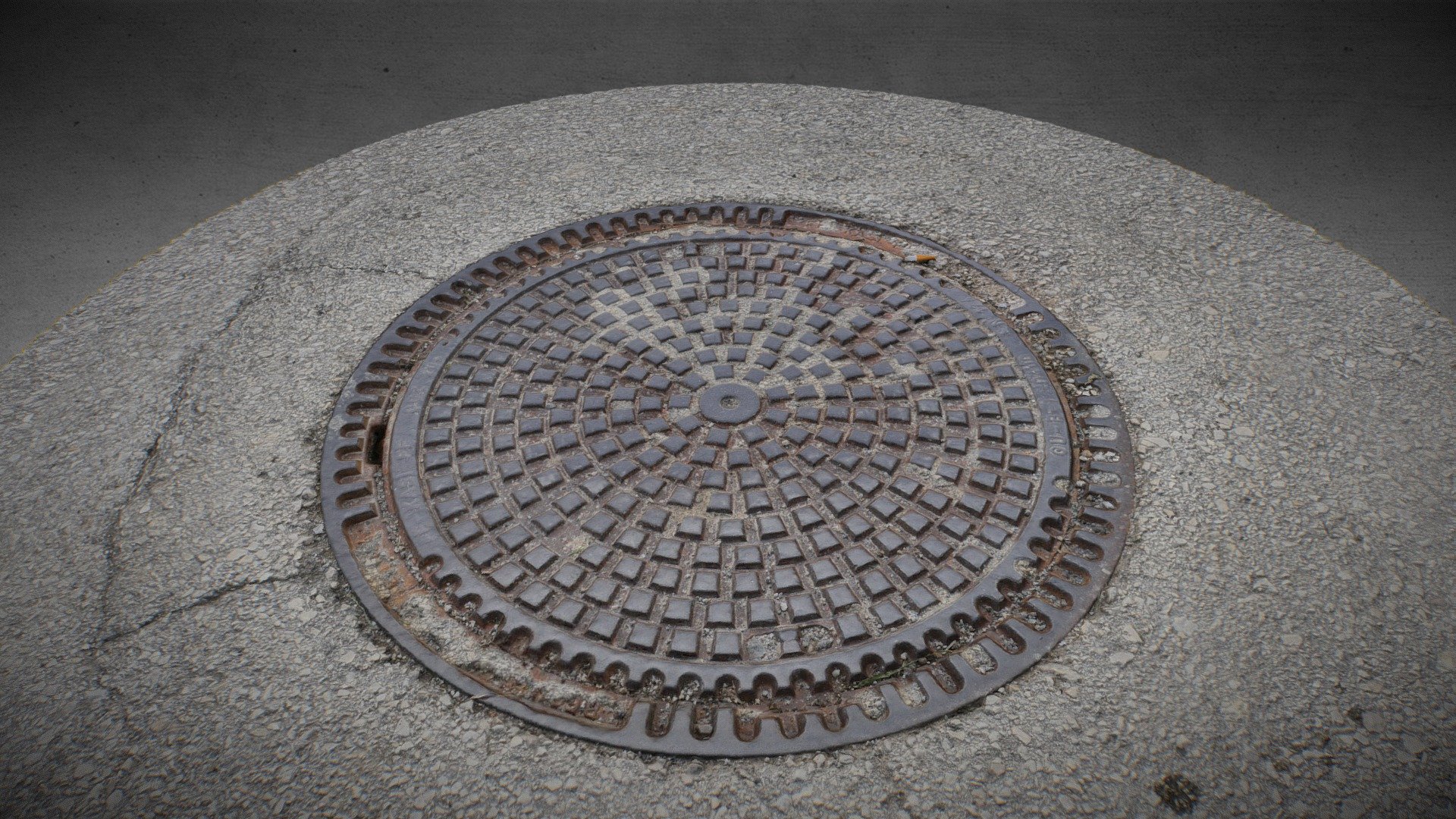 manhole cover 001 - download free 3d model duck killer a8ad38d 3D print model - Mito3D