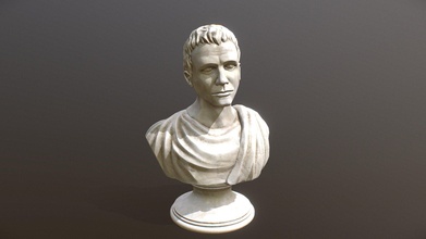 marble bust - 3d model 3drina 5609736 3d print model - Mito3D