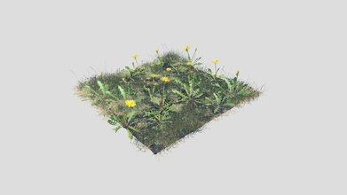 meadow patch dandelion - buy royalty free 3d model kambur 7eb610f hi all pbr created blender real world scale 100cm x includes 6 different models soil scanned clover fig buttercup dry grass perennial ryegrass comes following formats blend fbx obj dae file has shaders set up so it&rsquo s ready render using cycles title image not included each 4k png maps base color roughness normal opacity translucency ambient occlusion 3d print model - Mito3D