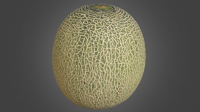 melon - buy royalty free 3d model yu fft kedar 8284727 created realitycapture capturing reality 305 images 00h 04m 43s 20k tris 8k diffuse map normal cavitymap generated cross-polarization shootings normalmap baked raw scanmodel 120m 3d print model - Mito3D