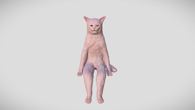 meme kedi 3d yazdırılabilir satın almak telif Bedava model Aurelien aurelien889 Şirin Neko araba yaratık hayvan 3d print model - Mito3D