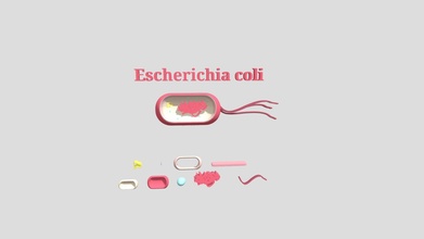 Microughs Escherichia coli1 Wagen download frei 3d Modell parte 1 5df0c2b 3d print model - Mito3D