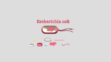Microughs Escherichia coli2 Wagen download frei 3d Modell parte 1 bf90936 3d print model - Mito3D