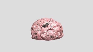 mincemeat - buy royalty free 3d model 3polies 82a8eb9 scene information scanned asset using photogrammetry materials unwrapped due scanning process bottom side might not textured textures diffuse 8192 x specular normal 3d print model - Mito3D