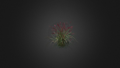 miscanthus sacchariflorus - buy royalty free 3d model evermotion b38f6e0 highly detailed plant all textures shaders materials ready use just put into your scene 3d print model - Mito3D
