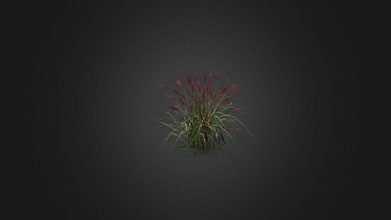 miscanthus sacchariflorus - buy royalty-free modello 3d evermotion b38f6e0 altamente dettagliato, 3d, modello, pianta, tutte le texture e shader dei materiali pronto uso appena messo in scena miscanto 3d print model - Mito3D