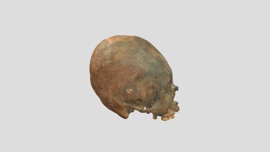 modified peruvian cranium - 3d model valdablack 9c8fa1e 3d print model - Mito3D