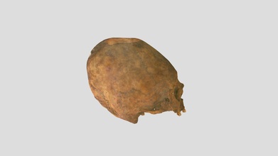 modified peruvian cranium - 3d model valdablack b9f319d 3d print model - Mito3D