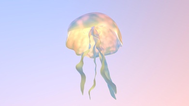 moon jellyfish - buy royalty free 3d model parsonsarts tomparsons 7647deb 3d print model - Mito3D