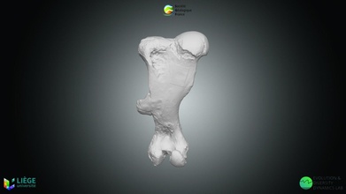 mur Nashorn wollig download frei 3d Modell soci ökologisch Frankreich sgfrance 52c7170 3d print model - Mito3D