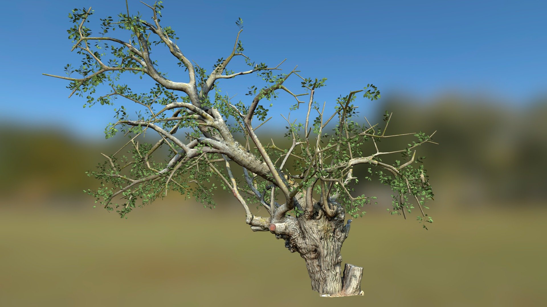 n060 tree - buy royalty free 3d model bimage c3d0cee 3D print model - Mito3D