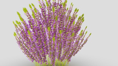 nature plante acheter royalties libre 3d modèle chandrarati 3677875 3d print model - Mito3D