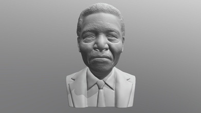 Nelson Mandela buste 3d impression acheter royalties libre modèle réalité imprimée piotrkatanowski Obama Afrique mère politicien Clinton miniatures figurines Luther Roi Donald célébrité célèbre 3d print model - Mito3D