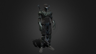 ninja şövalye 3d model robby saf orman d101761 3d print model - Mito3D