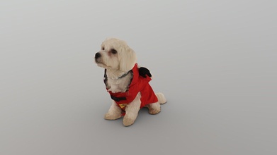 no468 séance chien rouge robe acheter royalties libre 3d modèle guvenarin 1bb6386 3d print model - Mito3D