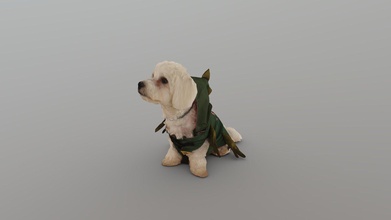 no469 sentado cão verde vestir Comprar realeza livre 3d modelo guvenarin 26230a8 3d print model - Mito3D