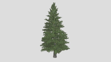 norway spruce tree - buy royalty free 3d model datec studio 0e763fa 3d print model - Mito3D