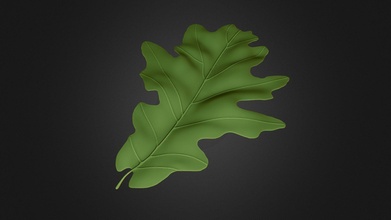 oak leaf practice sculpt - download free 3d model brageu besdue 4a4367d 3d print model - Mito3D