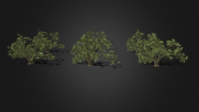 meşe ağaç varyasyonlar poli varyantlar indir Bedava 3d model rbg çizimler Stark Endüstrileri a4c0560 3d print model - Mito3D