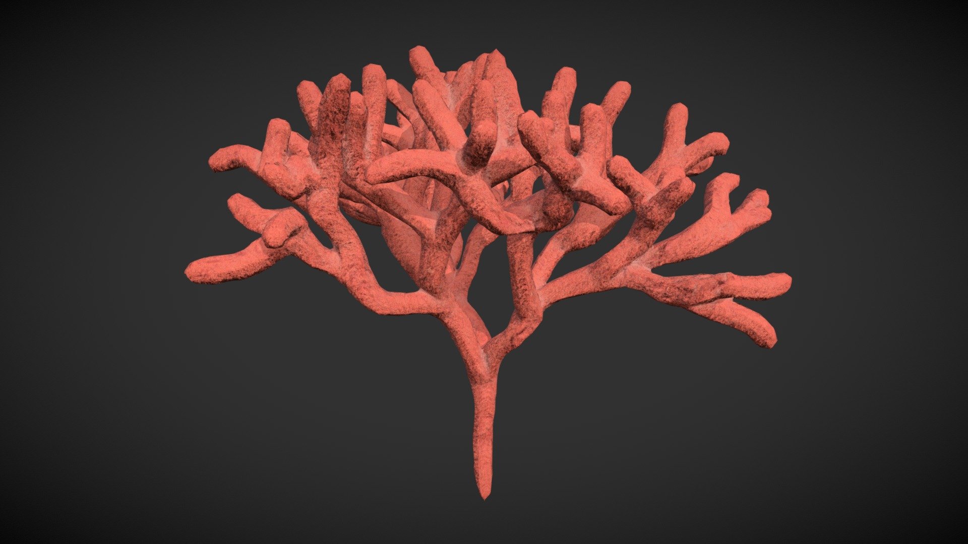 ocean coral - 3d model fabiangah fb4a0ac 3D print model - Mito3D
