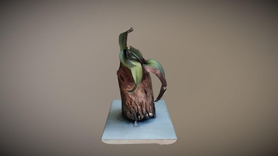 orkide bitkicik 3d printable indir Bedava model tiyan qi zhe thianqz 4575875 3d print model - Mito3D