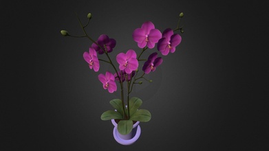 orchidées vase acheter royalties libre 3d modèle oscar Châtain fosse omorenof 226faec 3d print model - Mito3D